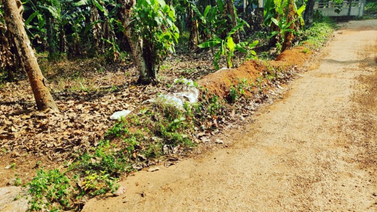 15 CENT RESIDENTIAL PLOT FOR SALE AT ADOOR