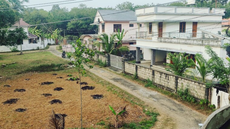 RESIDENTIAL PLOT FOR SALE AT PANDALAM-14 CENTS