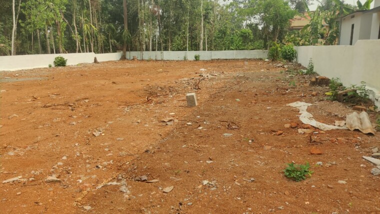 HOUSE PLOTS AT PANDALAM TOWN