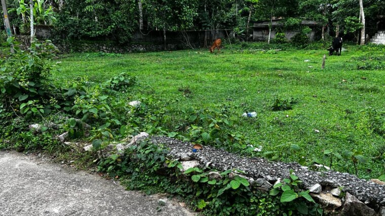 11 CENT HOUSE PLOT FOR SALE AT MANTHUKA