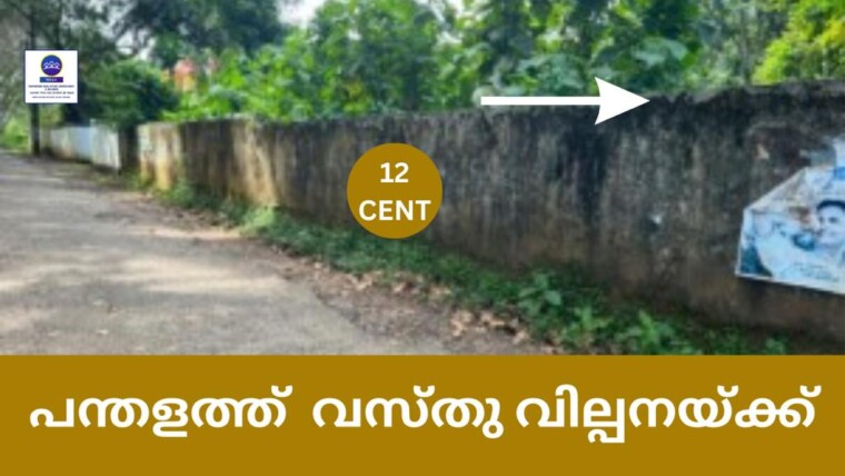 12 CENT  SQUARE RESIDENTIAL PLOT FOR SALE AT PANDALAM