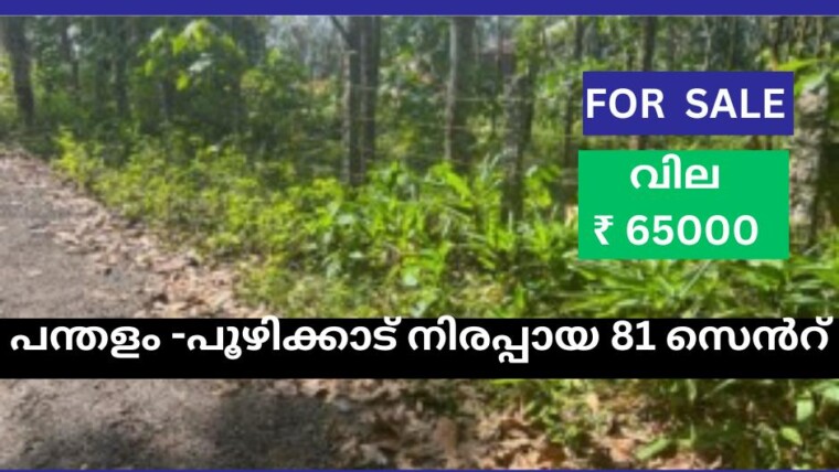 81 CENT RESIDENTIAL PLOT FOR  SALE AT PANDALAM