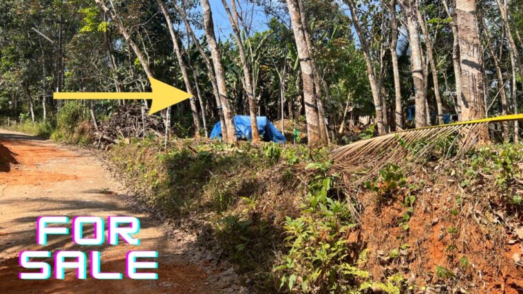 85 CENT RESIDENTIAL PLOT FOR SALE AT PANDALAM