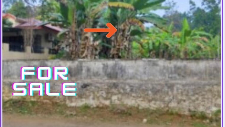 45 CENT RESIDENTIAL PLOT FOR SALE AT KUMBAZHA-PATHANAMTHITTA