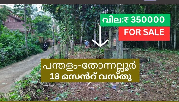 18 CENT RESIDENTIAL PLOT FOR SALE AT PANDALAM