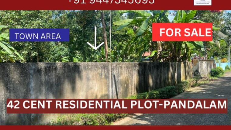 42 CENT RESIDENTIAL PLOT FOR SALE AT PANDALAM TOWN