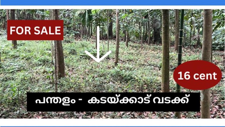 16 CENT RESIDENTIAL PLOT FOR SALE AT PANDALAM