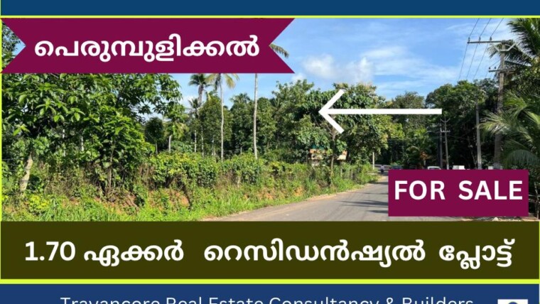 1.70 Acre Residential Plot for Sale in Pandalam – Perumpulikkal