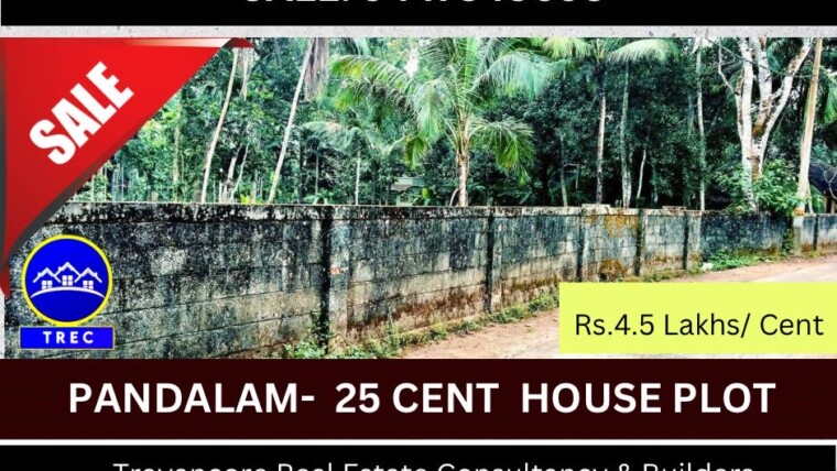 25 CENT SQUARE RESIDENTIAL PLOT FOR SALE – NEAR AYYAPPA TEMPLE PANDALAM