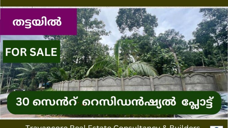 30 CENT RESIDENTIAL PLOT FOR SALE IN PANDALAM THEKKEKARA